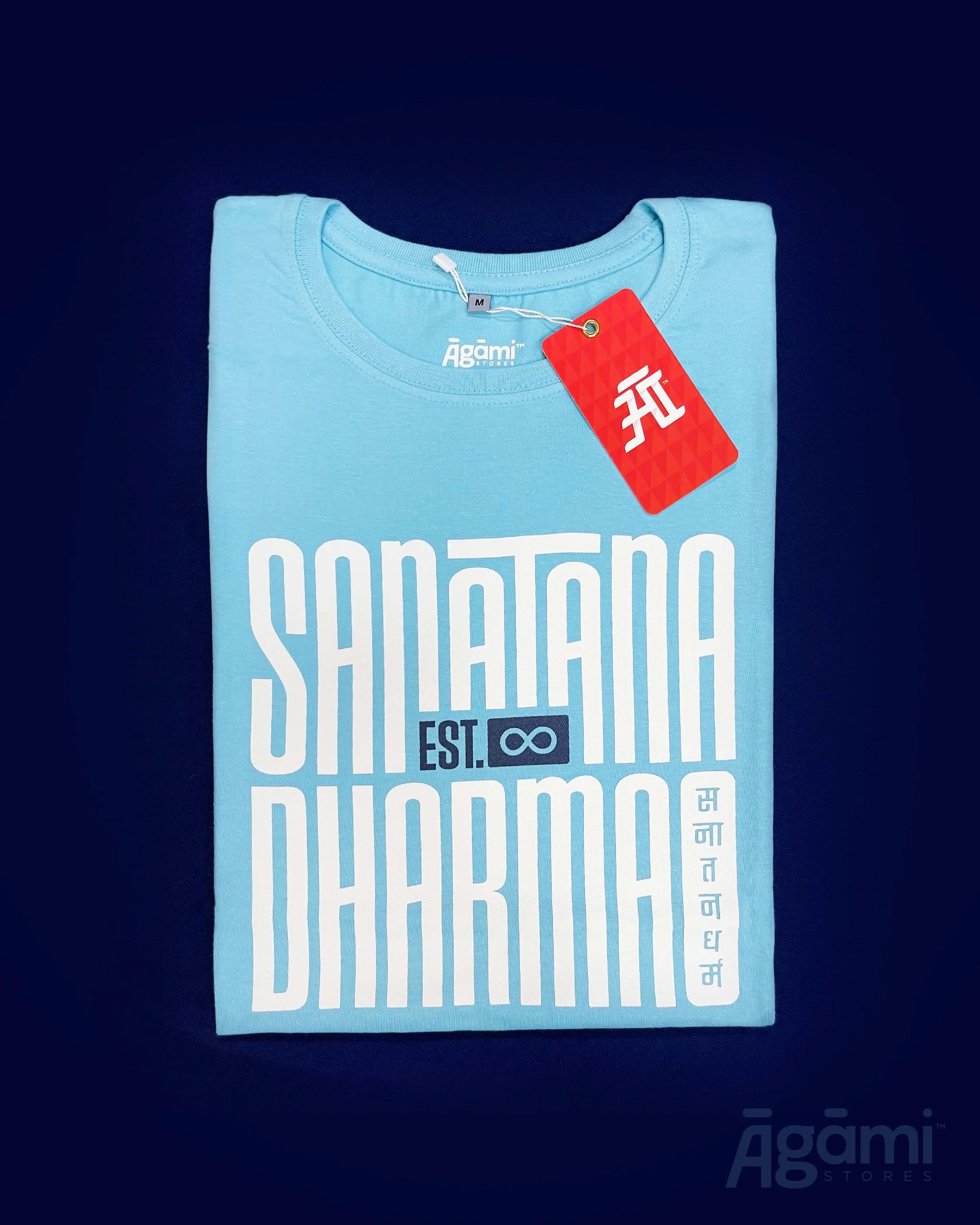 Sanātana Dharma Tshirt - Aqua | Regular Fit - Image 4